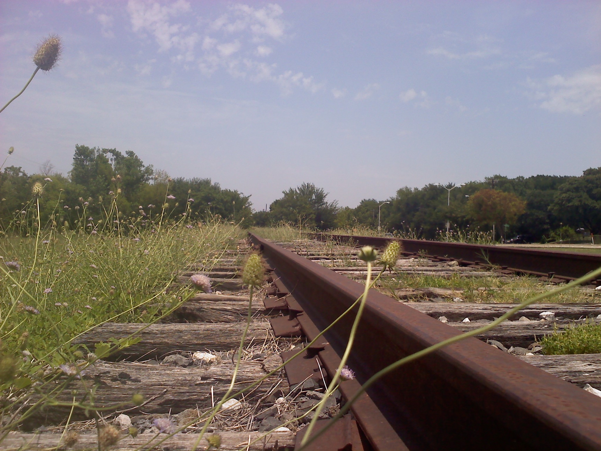 Train Tracks 2014