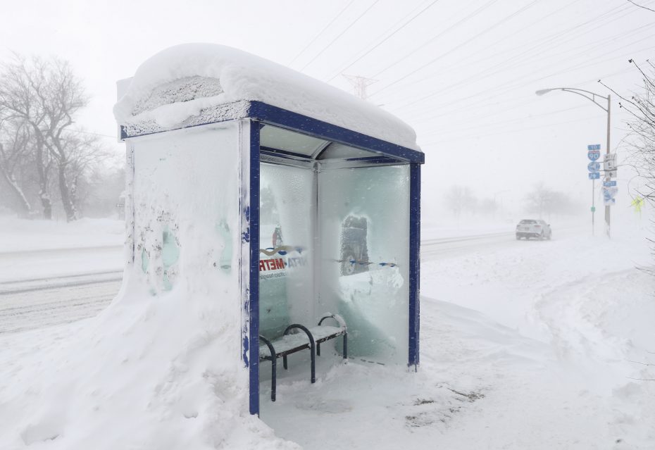 Main St Bus Shelter Buffalo