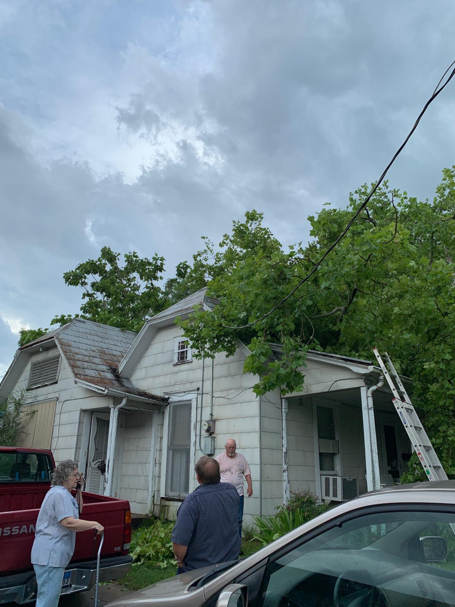 Moms Treed House June 2019